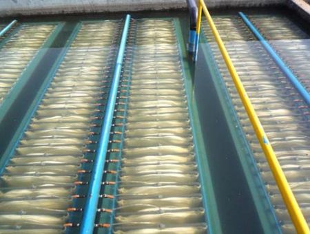 點(diǎn)擊查看詳細(xì)信息<br>標(biāo)題：MBR膜生物反應(yīng)器 閱讀次數(shù)：2607