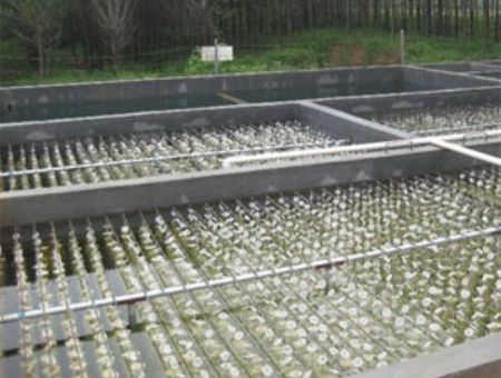 點(diǎn)擊查看詳細(xì)信息<br>標(biāo)題：養(yǎng)殖污水處理 閱讀次數(shù)：4958